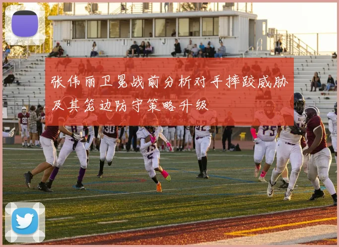 张伟丽卫冕战前分析对手摔跤威胁及其笼边防守策略升级