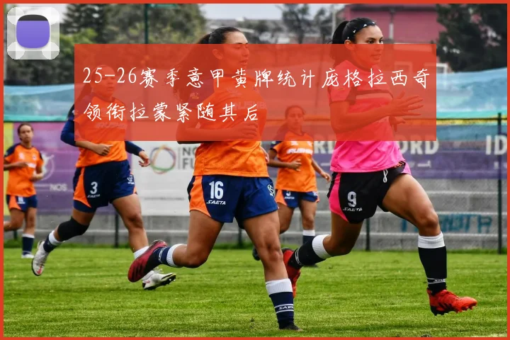 25-26赛季意甲黄牌统计庞格拉西奇领衔拉蒙紧随其后
